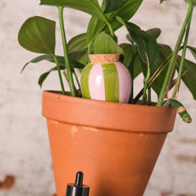 Charger l'image dans la galerie, Olla à rayures