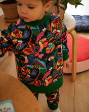 Charger l'image dans la galerie, Sweat évolutif Toucans