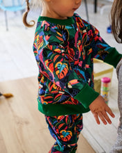 Charger l'image dans la galerie, Sweat évolutif Toucans