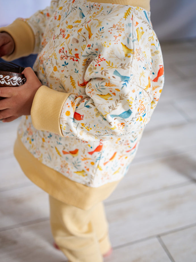 Sweat évolutif Little Bird
