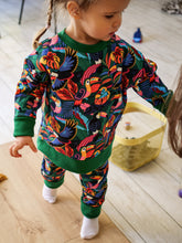 Charger l'image dans la galerie, Sweat évolutif Toucans
