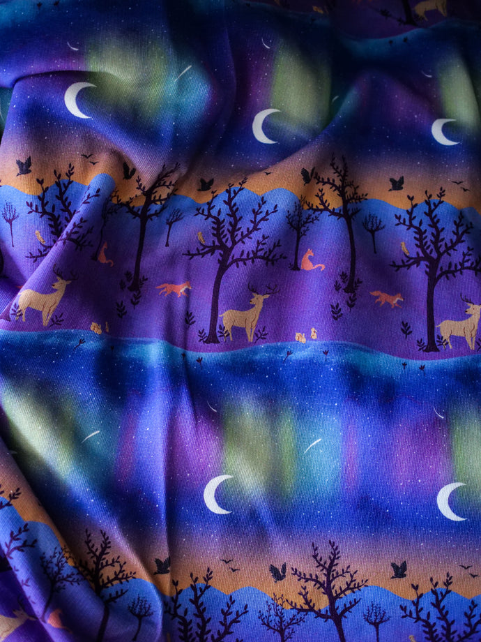 Coupon Tissu aurores boréales