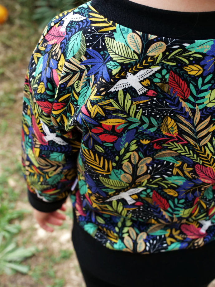 Sweat évolutif Freedom